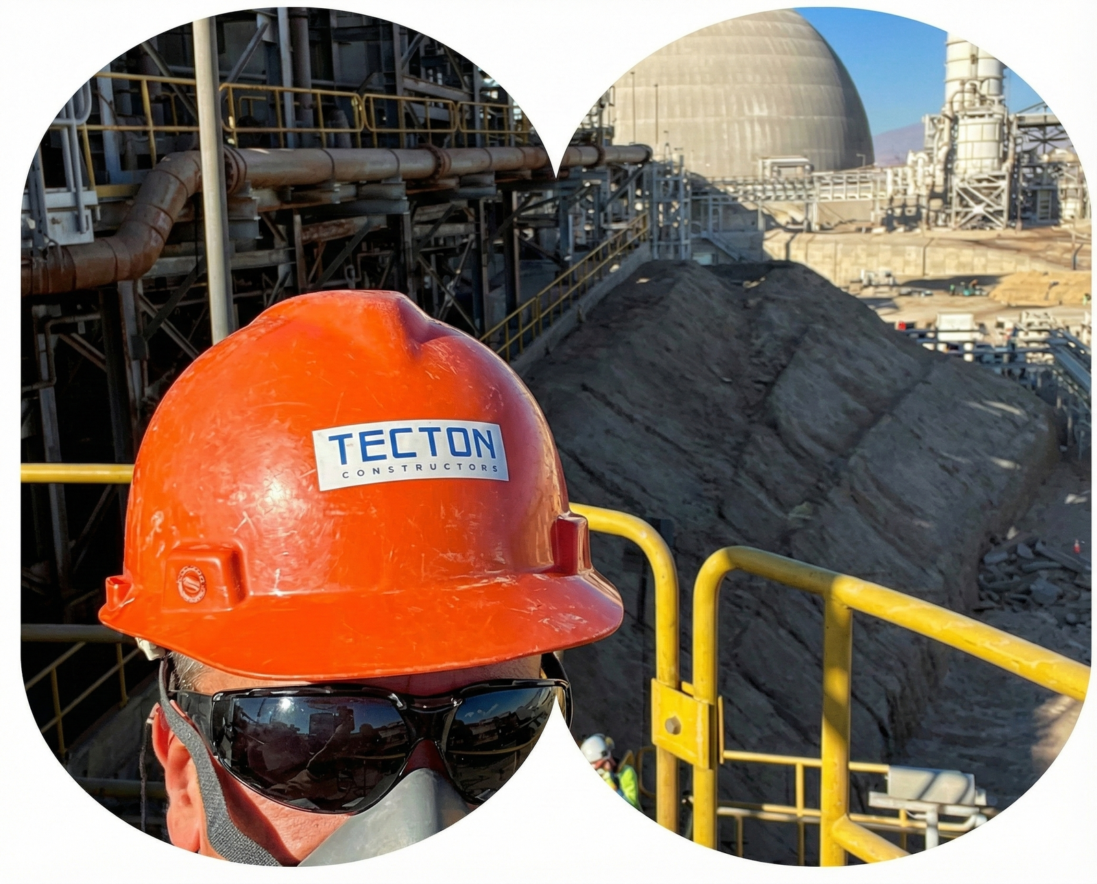 Tecton Proyecto Color