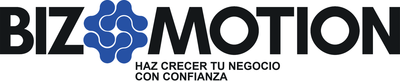 bizmotion.io